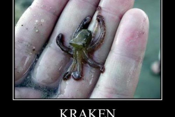 Kraken в россии