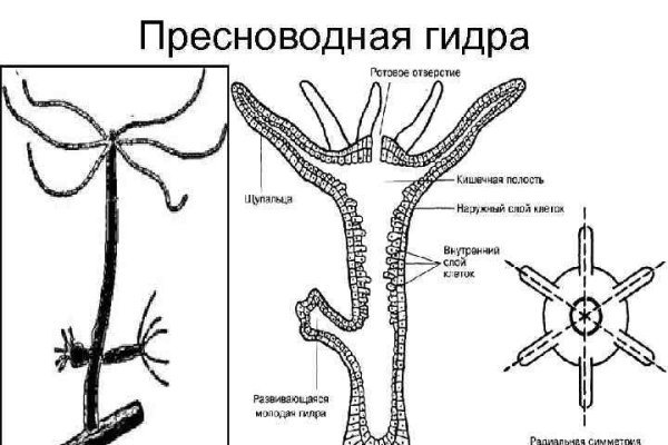 Кракен вход krakens13 at